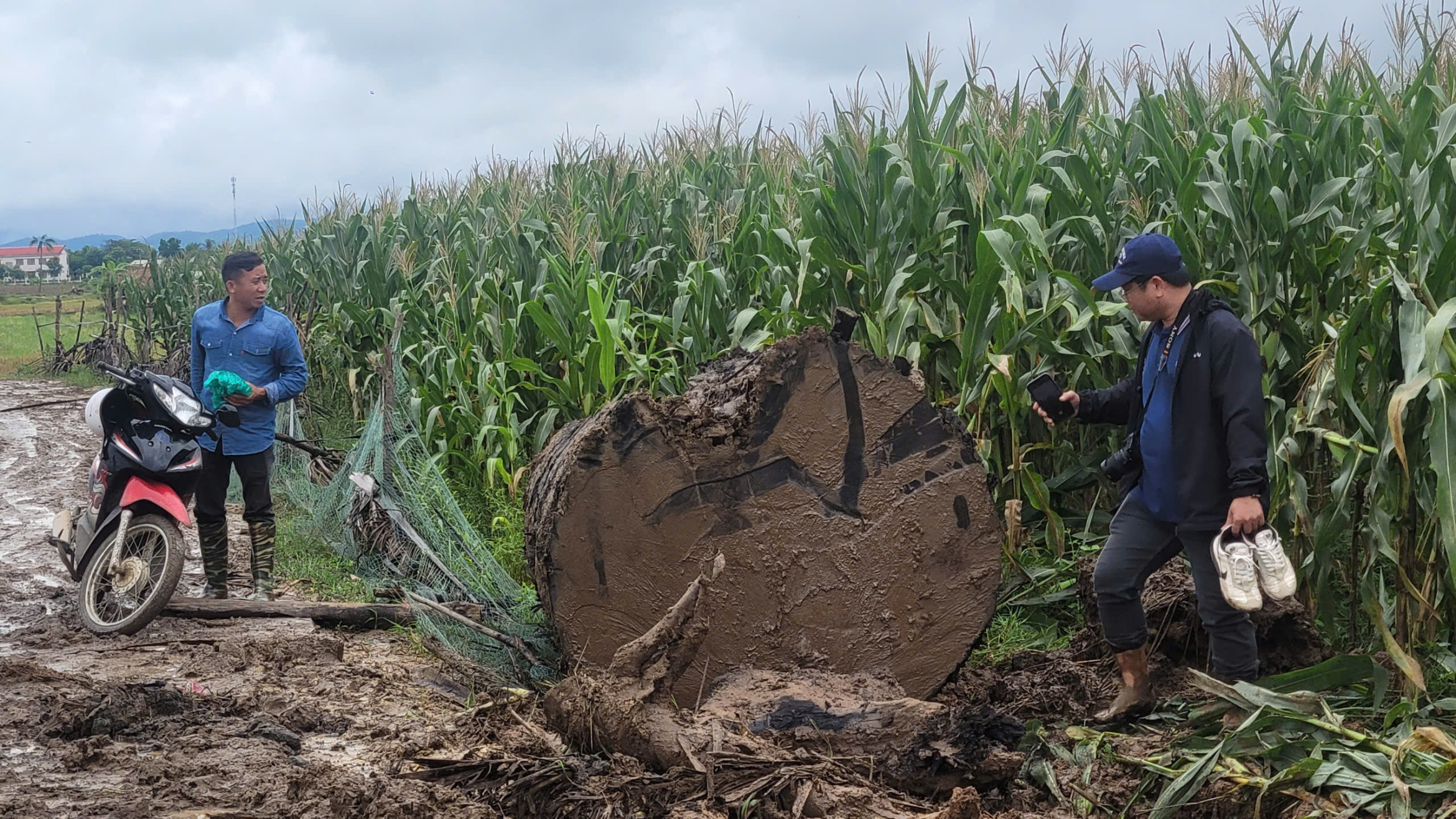 嘉莱:核实阿云河旁挖掘“巨大”木材的人群